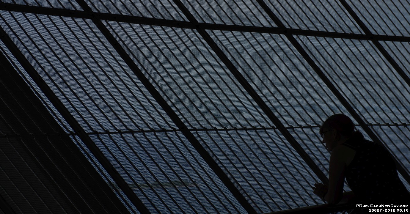 56687CrLe - Andrew's Birthday Celebration Part Two - The CN Tower!